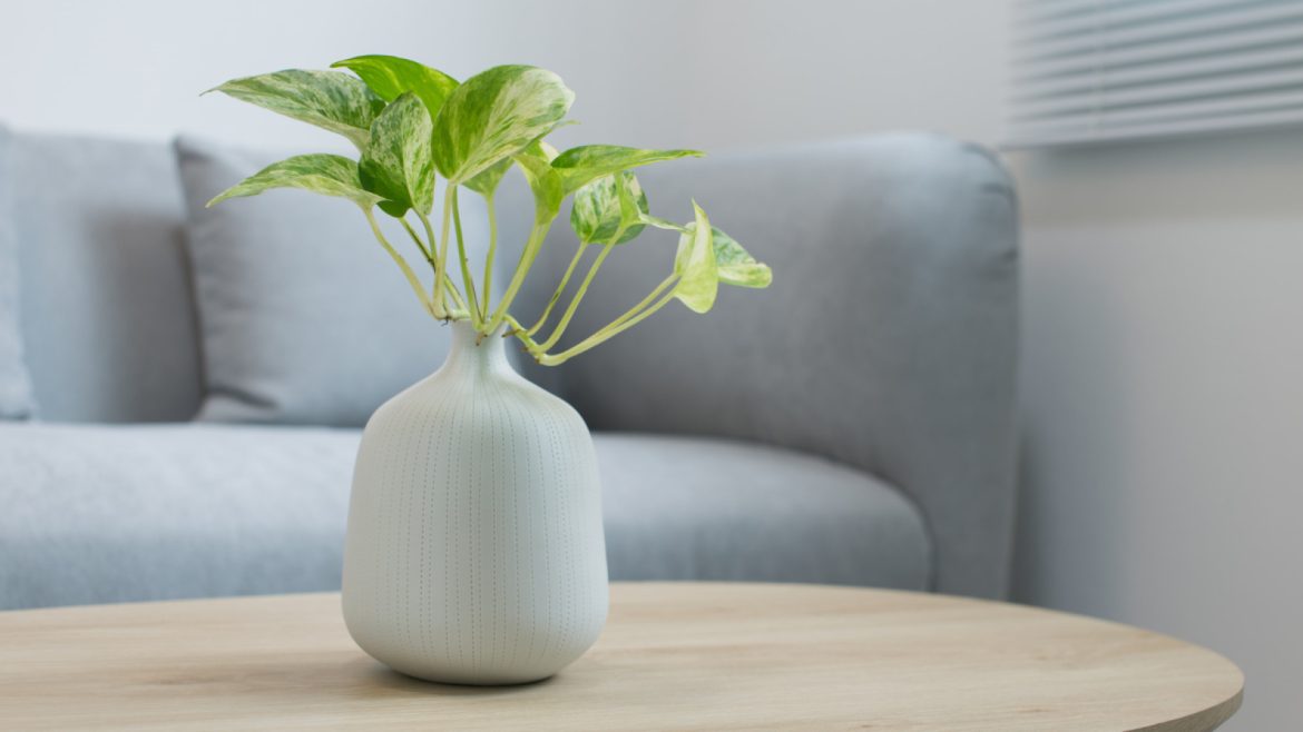 Comment choisir la table basse parfaite pour votre salon ?