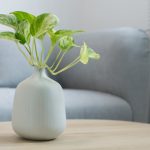 Comment choisir la table basse parfaite pour votre salon ?