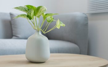 Comment choisir la table basse parfaite pour votre salon ?